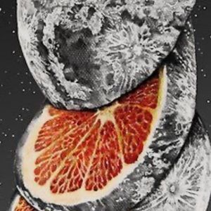 Meet your Posher, Clare